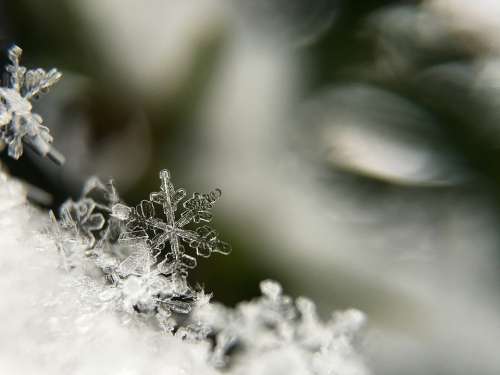 Snowflake Macro Frost Frozen Crystal Snow Ice