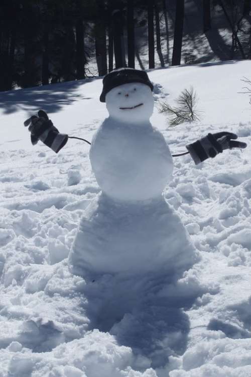 Snowman Snow Winter Hat Gloves Cold Cute