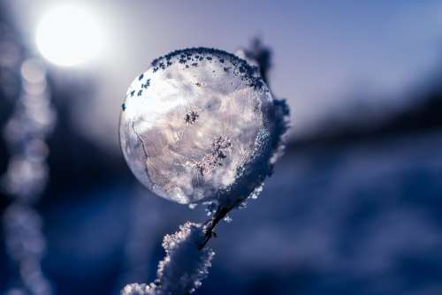 Soap Bubble Frozen Frozen Bubble Winter