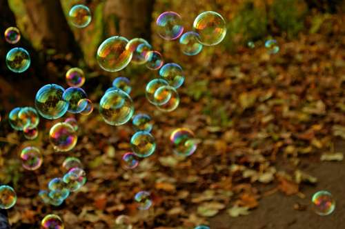 Soap Bubbles Bubbles Fun Colors Floating Shimmer