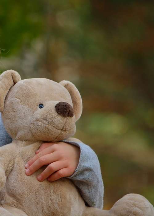 Soft Toy Bear Cute Sweet Stuffed Animal Child