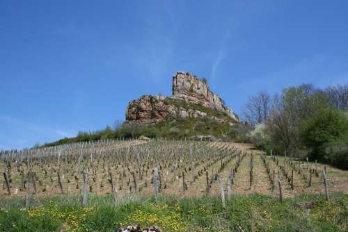 Solutré Burgundy Vine Vineyard Landscape Hiking