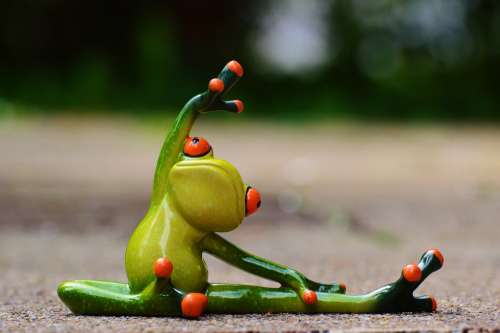 Sport Gymnastics Frog Funny Fitness Fit Sporty