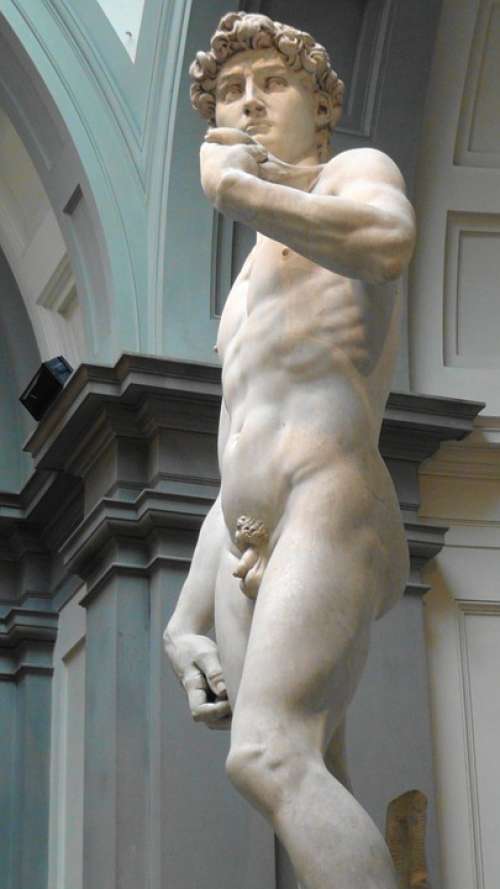 Statue Of David Florence Art Italy Sculpture