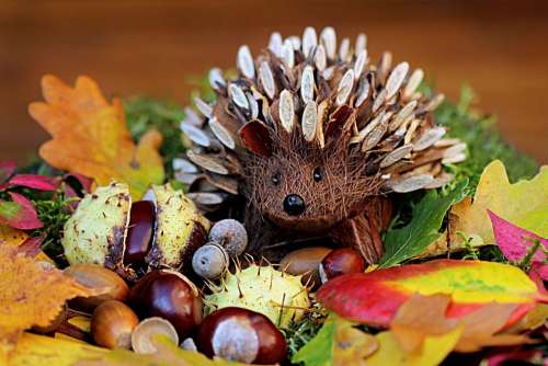 Still Life Hedgehog Decoration Herbstdeko Colorful