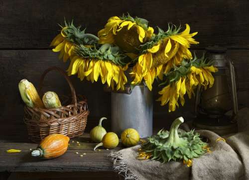 Still Life Sunflower Bouquet Flowers Autumn Fall