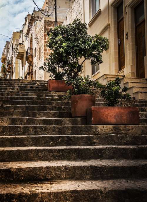 Stone Steps Street View Olive Trees Planters