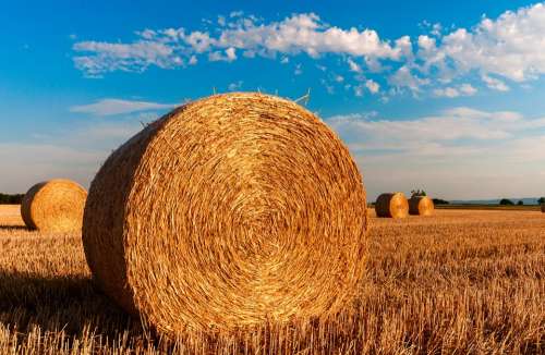 Straw Bales Stubble Agriculture Summer Straw