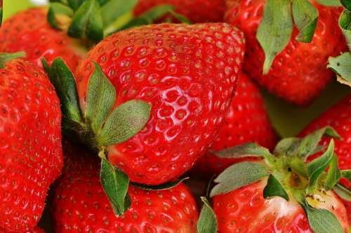 Strawberries Fruit Fruits Red Sweet Food Eat