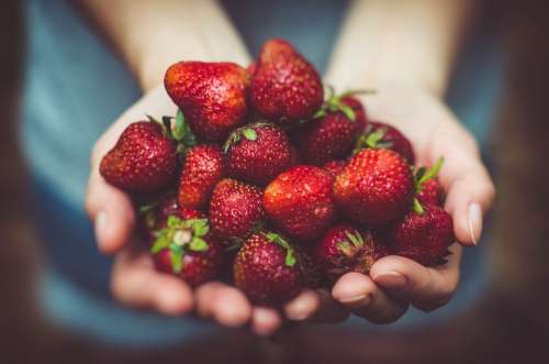 Strawberries Fruits Close-Up Food Fresh Hands