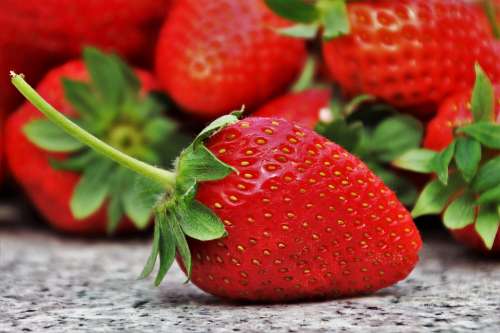 Strawberries Fruit Season Eating Healthy Diet