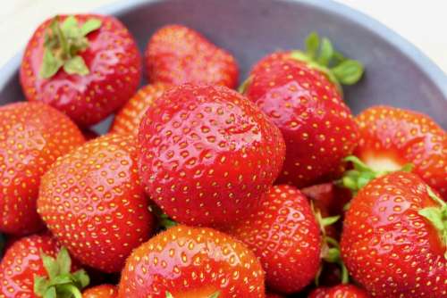 Strawberry Strawberries Summer Fruit Mat Cute