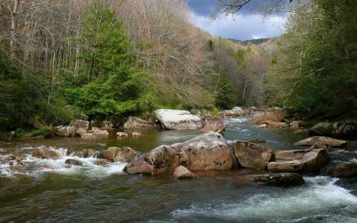 Stream River Landscape Water Rocks Nature Forest
