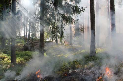 Styggkärret Reserve Burning Fire Smoke