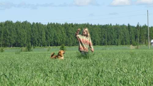Summer Hay Girl And Dog Man Dog Blue Sky Finnish
