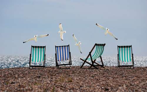 Summer Beach Seagulls Deckchairs Sea Holiday
