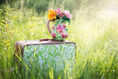 Summer Still-Life Suitcase In Field Grass Summer