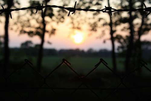 Sun Nature Barbed Wire Sunset Mood Dusk Rest