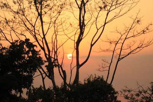 Sun Sunny Landscape Sky Silhouette Orange Forest