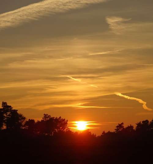 Sun Evening Sunset Orange Yellow Clouds Forest