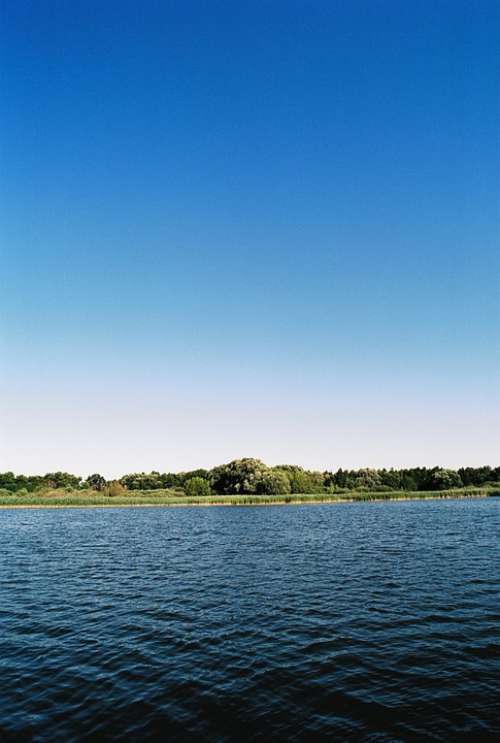 Sun Lake Reed Landscape Water