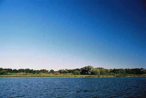 Sun Lake Reed Landscape Water