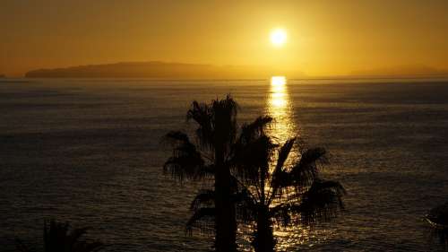 Sunrise Madeira Palm Trees Sea Horizon