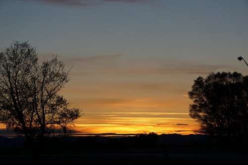 Sunset Silhouette Tree Silhouette Landscape Nature