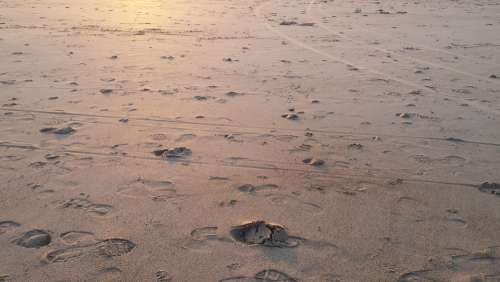 Sunset Sand Footprints