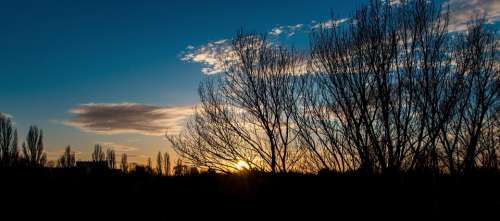 Sunset The Sky Sky Clouds Trees Silhouette