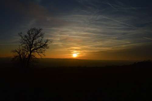 Sunset Sundown Landscape Tree Abendstimmung