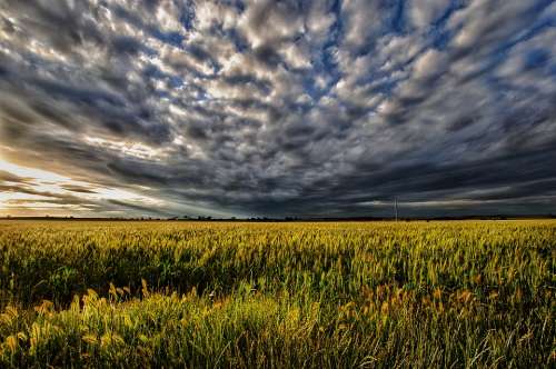 Sunset Moody Pasture Storm Weather Cloud Scene