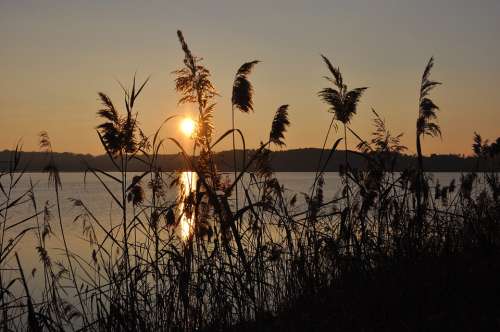 Sunset Marsh Landscape Nature