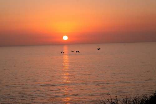 Sunset Ocean Sea Sky Beach Water Dusk Sunrise