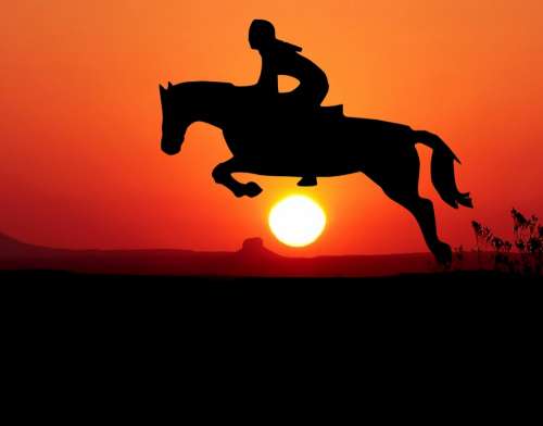 Sunset Horse Jumper Jump Nature Sky Landscape