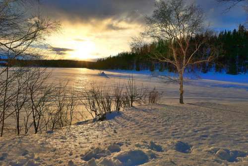 Sunset Nature Landscape Winter Cold Gel Trees