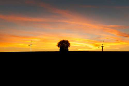 Sunset Sun Field Windmills Technology Tree Bush