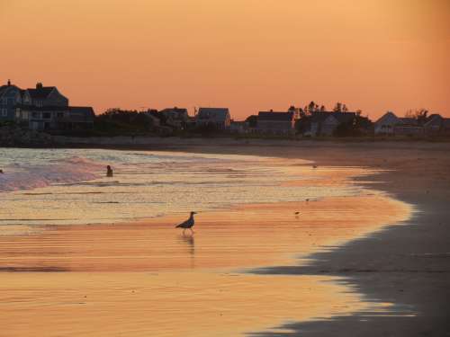 Sunset Coastline Seascape Russet