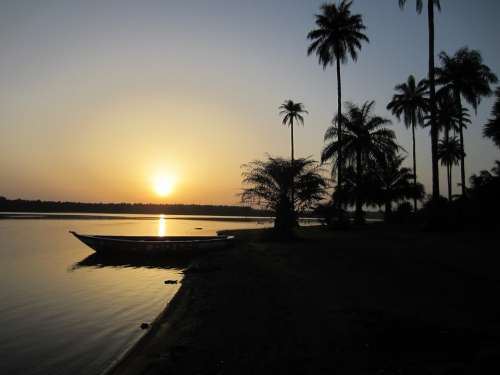 Sunset Guinea Africa Palm Trees