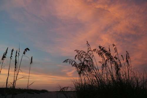 Sunset Beach Nature Sun Texture Sky Grass Colors