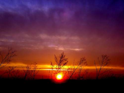 Sunset Plants Sky Cloud Sun In The Evening