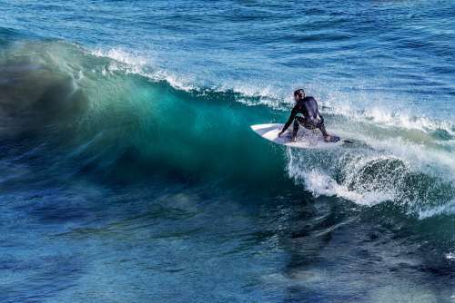 Surfing Surfer Surf Surfboard Water Sports Water