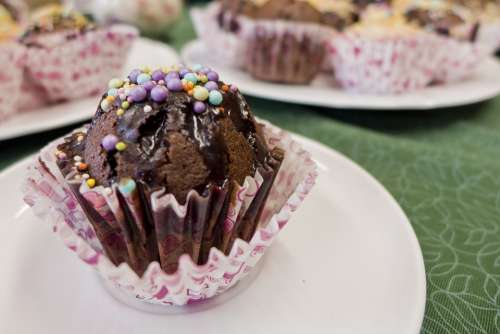 Sweets Cupcakes Bun The Cake Cake Chocolate