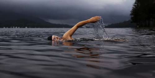 Swim Swimmer Crawl Lake Girl Female Sports