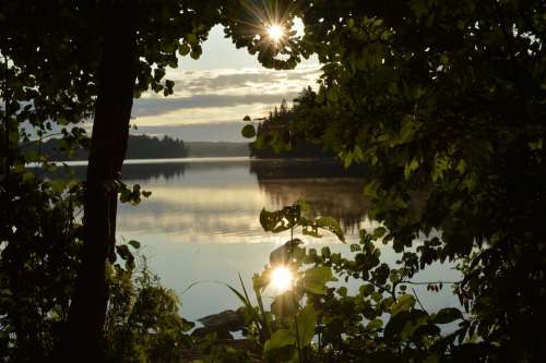 Tampere Nature Summer Lake Landscape