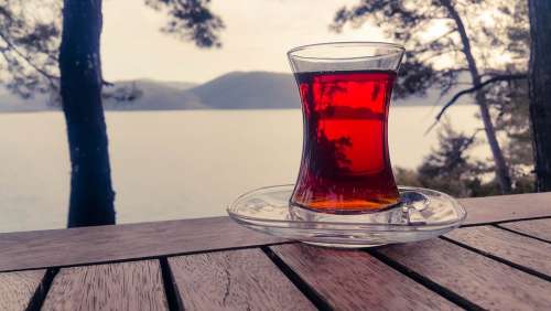 Tea Tea Cup Nature Outdoor Glass Red Tranquil