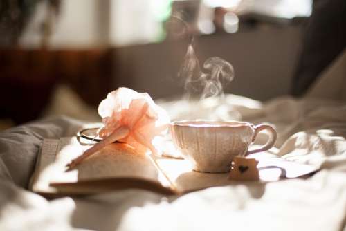 Tea Cup Rest Calm Afternoon Beverage Mug Morning