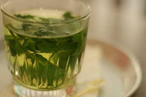 Tea Herbal Tea Drink Healthy Leaves Peppermint
