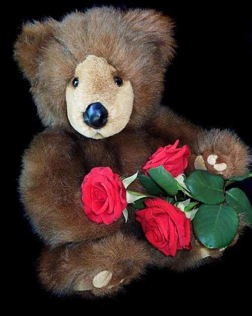 Teddy Bear Valentine Roses Cute