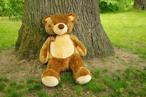 Teddy Bear Plush Nature Toy The Bear Sweet Funny